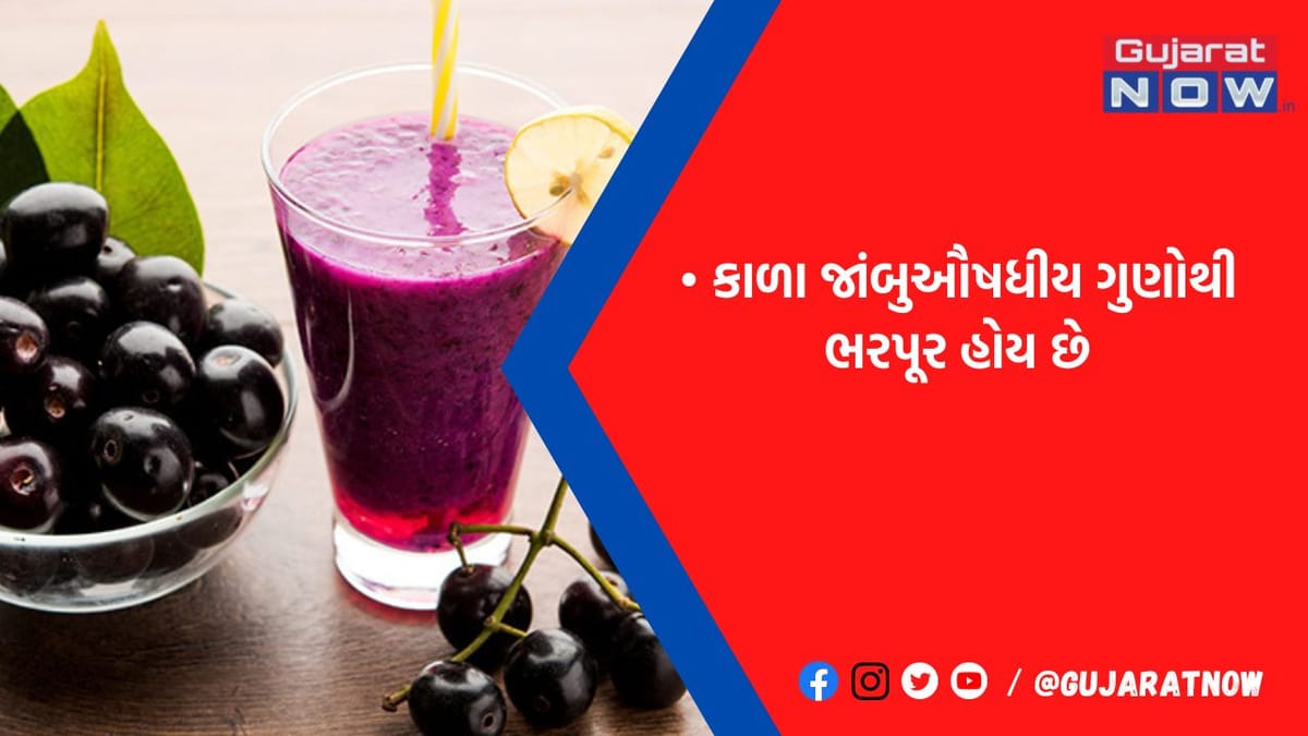 જાંબુ કે જે છે ડાયાબિટીસનું દુશ્મન! પત્તાથી લઇને છાલ કરે છે ઔષધિનું કામ, સ્વાસ્થ્ય માટે ગજબ ફાયદાકારક