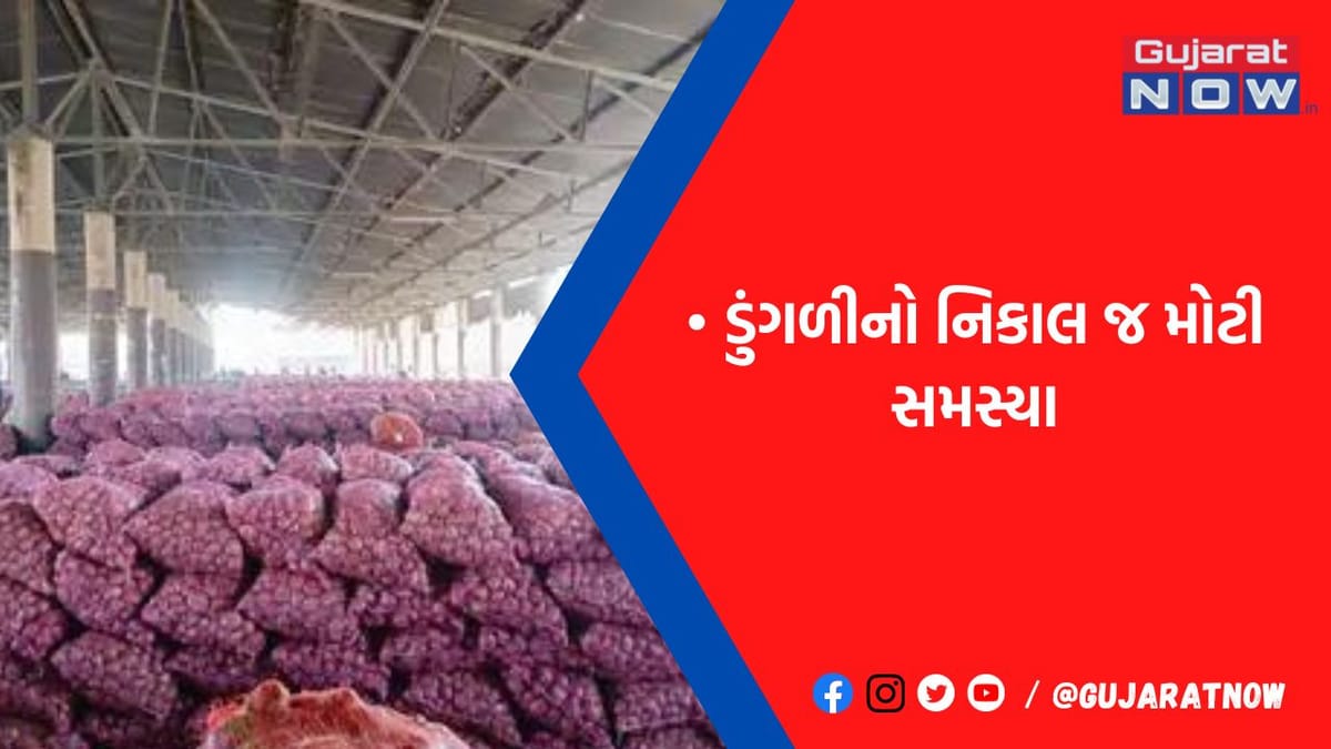 રાજકોટ યાર્ડમાં ખેડૂતે કહ્યું: 'નાફેડ વાળા દેખાતા જ નથી અને આવે તો 45 MMથી નીચેની ડુંગળી ખરીદતા નથી'