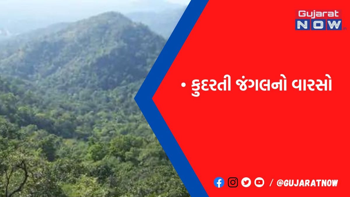 રતનમહાલનાં જંગલોમાં 112 જાતનાં અંદાજિત 55 લાખ વૃક્ષો