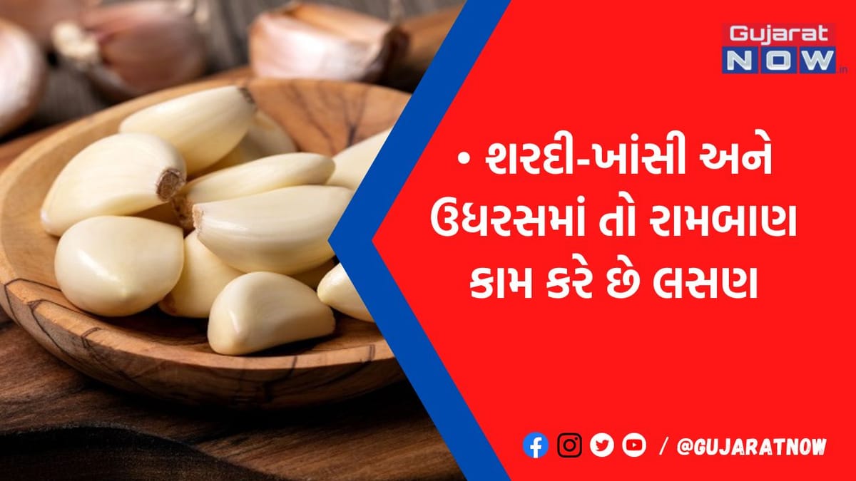 આ 3 સમસ્યાથી પરેશાન હોવ તો ભૂલથી પણ ખાવું જોઈએ લસણ, પડી જશે લેવાના દેવા
