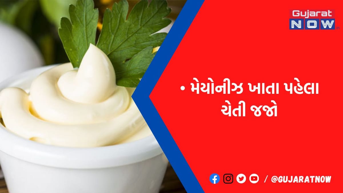 સેન્ડવીચ અને પફમાં મેયોનીઝ ખાવાના શોખીનો ચેતી જજો! શરીરમાં વધી જાય છે આ 5 બિમારીઓનો ખતરો