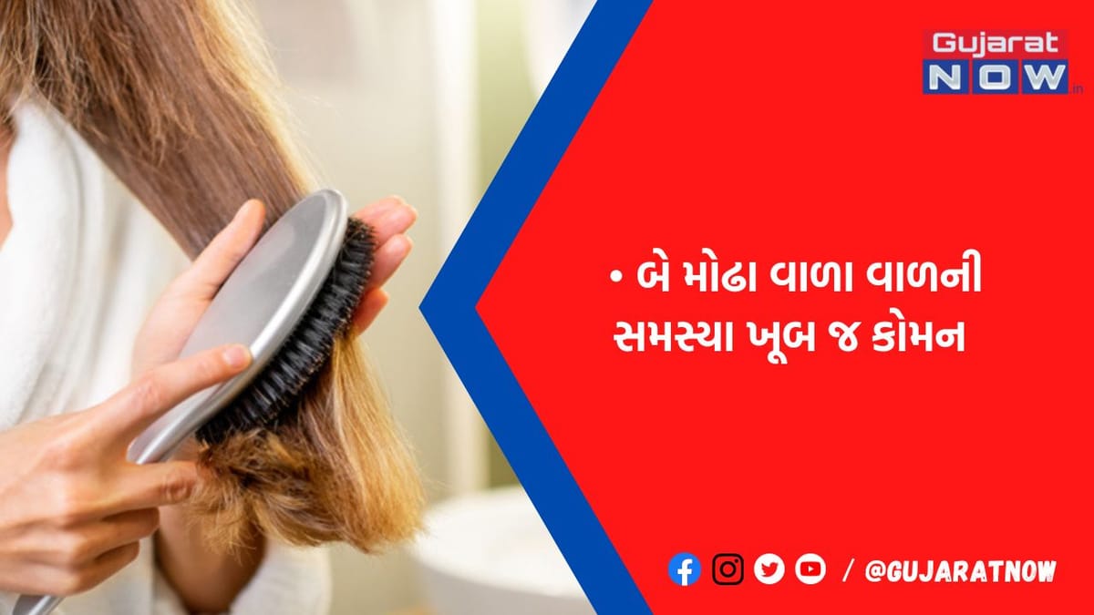 બે મોઢા વાળા વાળને કપાવી નાખવાની ના કરતા ભૂલ! આ રીતે કરો એલોવેરાનો ઉપયોગ, ગ્રોથ વધવાની સાથે લાંબા પણ થશે
