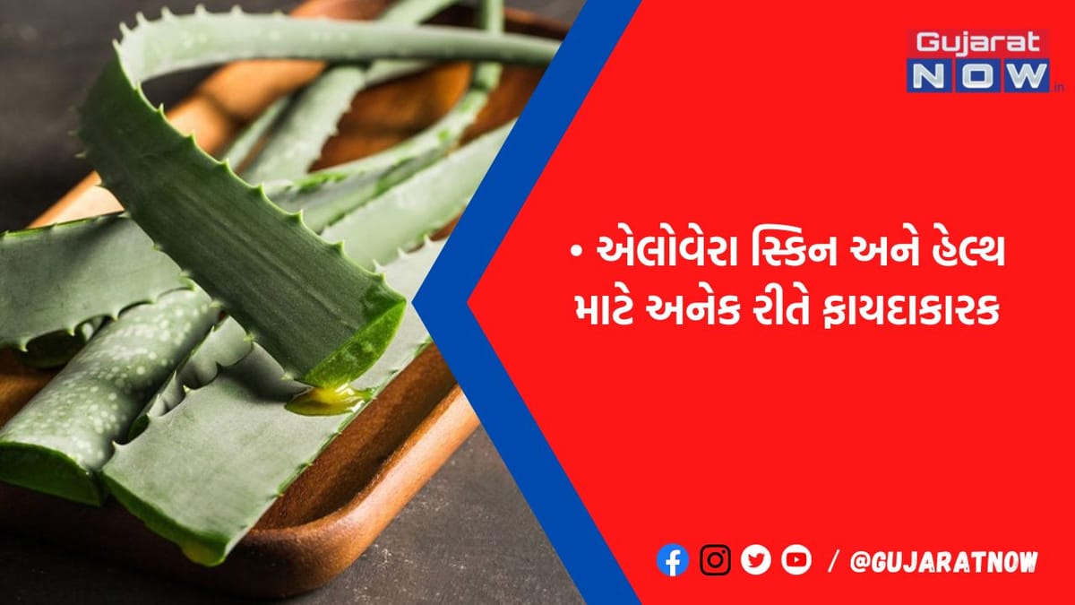 કબજિયાતથી લઈને દાંતની કેવિટી સુધી આ બીમારીઓ માટે રામબાણ છે એલોવેરા, જાણો કેવી રીતે કરશો સેવન