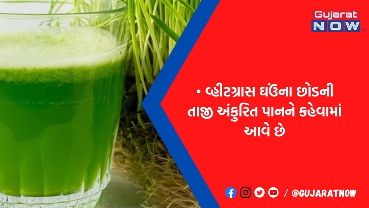 સંજીવની જેવુ છે આ લીલું જ્યુસ: કાપી નાંખે છે કેન્સરના મૂળિયા, શુગર અને BPમાં પણ ઉપયોગી, આજે જ પીવાનું કરો શરૂ
