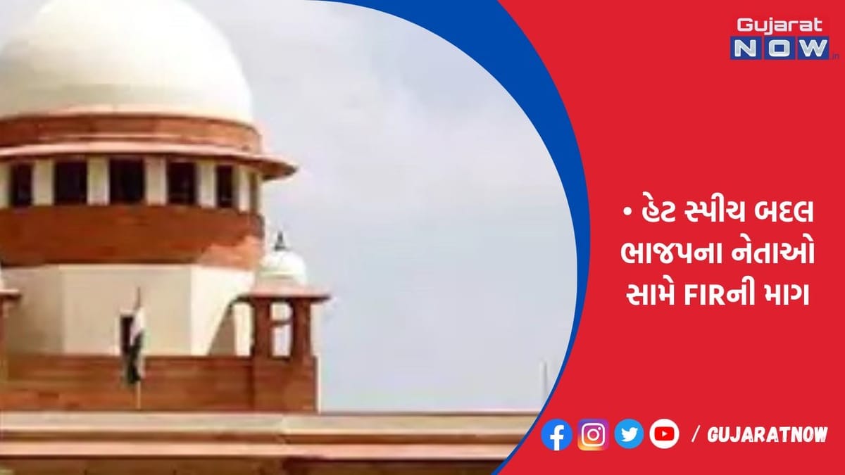 દિલ્હી રમખાણોમાં પ્રવેશ વર્મા-અનુરાગ ઠાકુર પર નફરત ફેલાવવાનો આરોપ