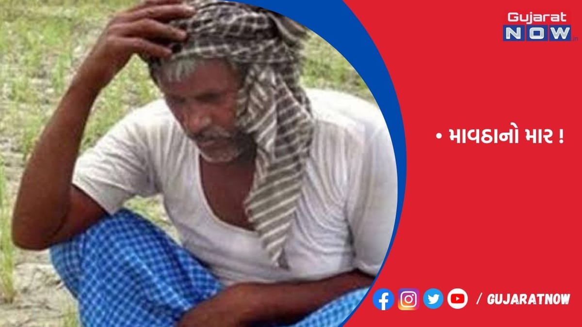 ખેડૂતોને નુકસાનની થપાટ