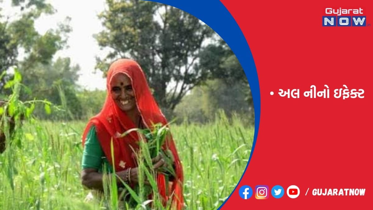 કૃષિ ઉત્પાદન ઘટવા-મોંઘવારી વધવાની સંભાવના