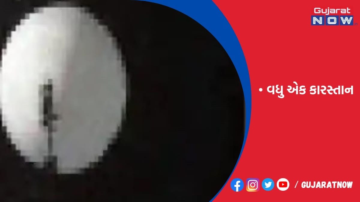 અમેરિકામાં ચીનની ગુપ્ત પોલીસ સ્ટેશન દ્વારા અસંતુષ્ટોની જાસૂસી