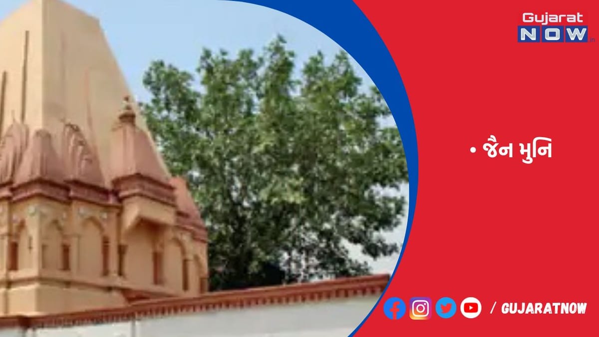 પાકિસ્તાનમાં એક પણ જૈન નથી છતાં સેંકડોએ સ્વાગત કર્યું!