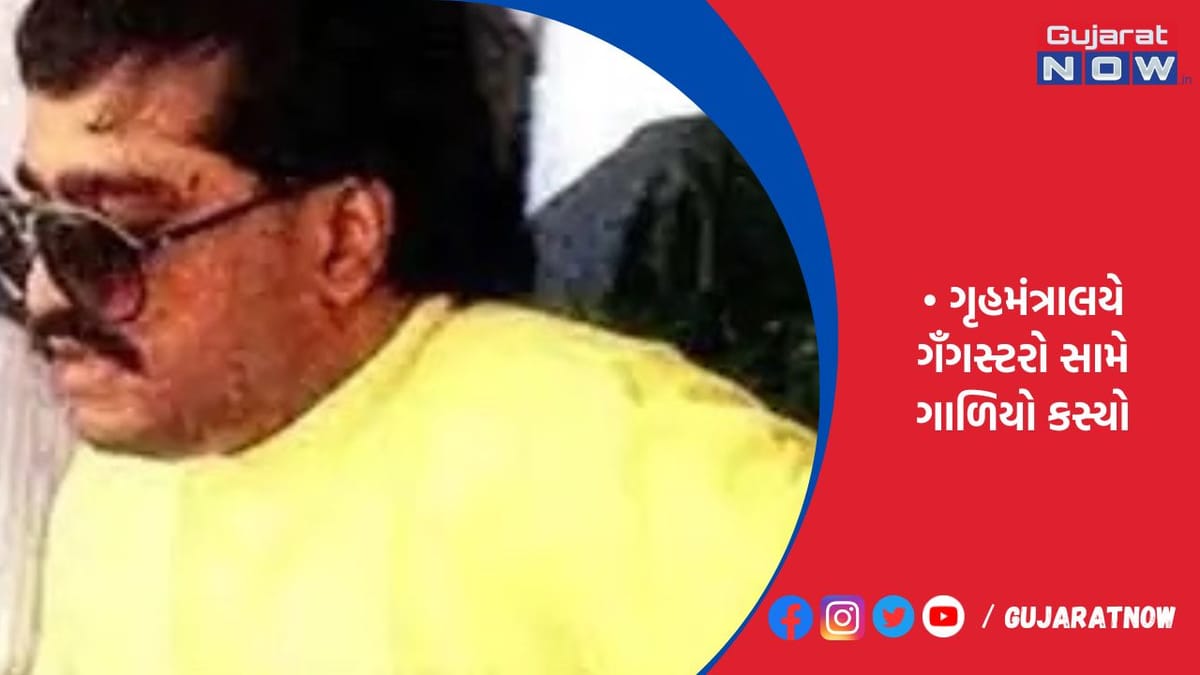 14 દેશમાંથી ગૅંગ ચલાવતા 28 વૉન્ટેડ ગૅંગસ્ટરને ભારત પરત લાવવા કવાયત
