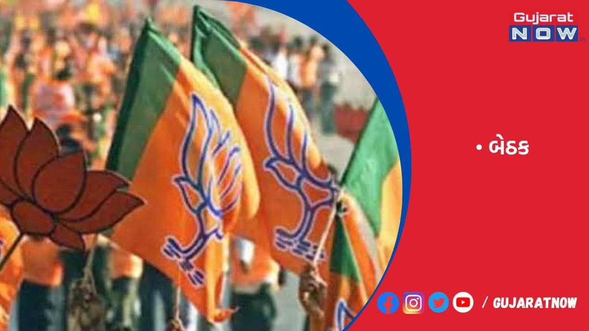 શહેર ભાજપના નવા માળખાની એક સપ્તાહમાં જ થશે જાહેરાત