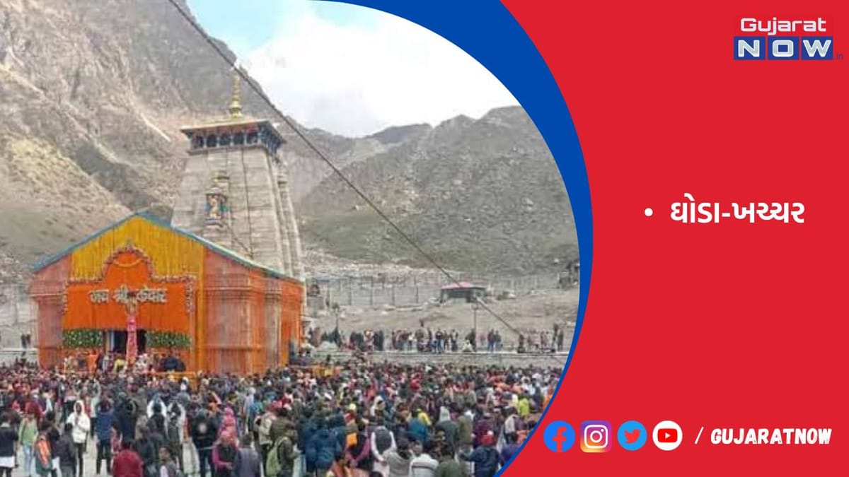 કેદારનાથ: ઘોડા-ખચ્ચરના રોજના ત્રણ ફેરા