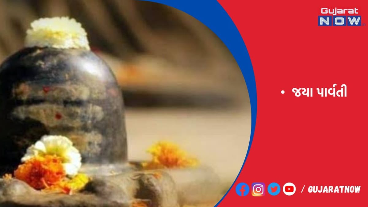 સૌભાગ્ય અને સમૃદ્ધિ માટે કરો આ વ્રત