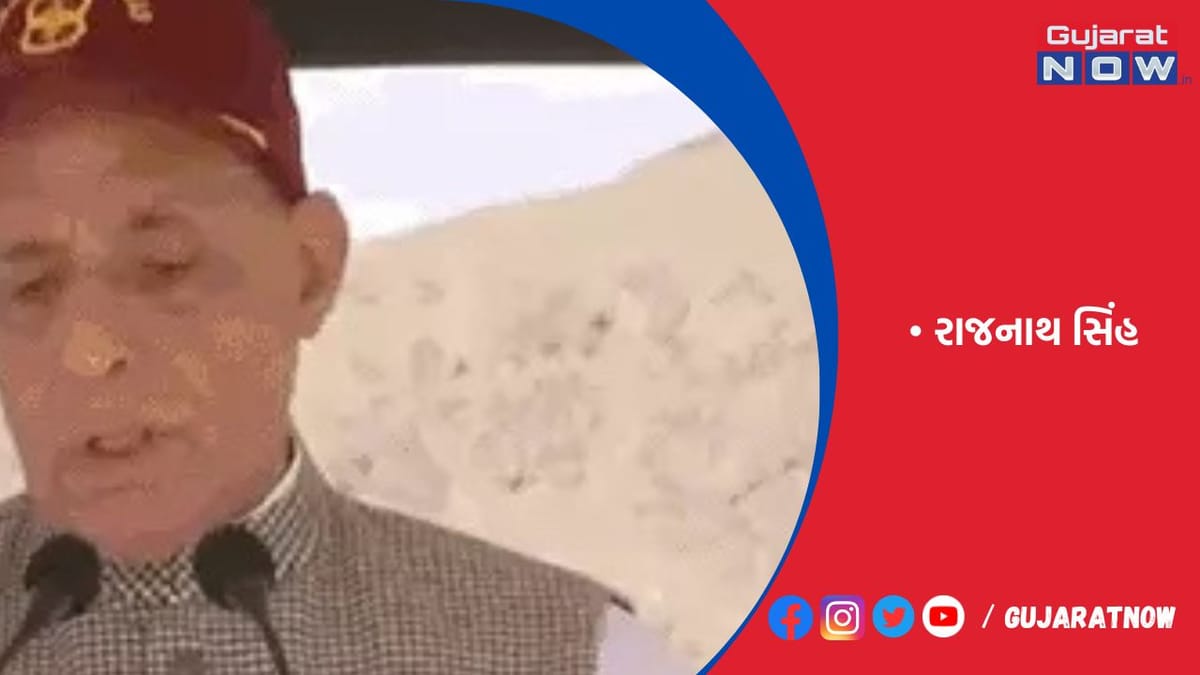 રાજનાથ સિંહે કહ્યું હતું- જરૂર પડશે તો સેના LOC પાર કરશે