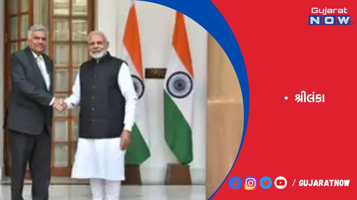 શ્રીલંકાએ કહ્યું- ભારતે અમને હિંસાથી બચાવ્યા