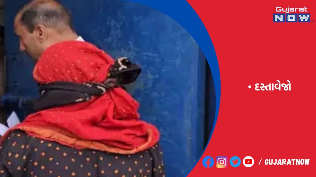 કેતકી વ્યાસે ખોટા દસ્તાવેજો બનાવી જમીન ખરીદી હતી!