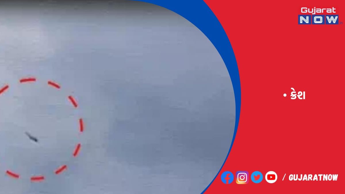 પુતિનને પડકારનારા પ્રિગોઝિનના પ્લેન ક્રેશનો વીડિયો