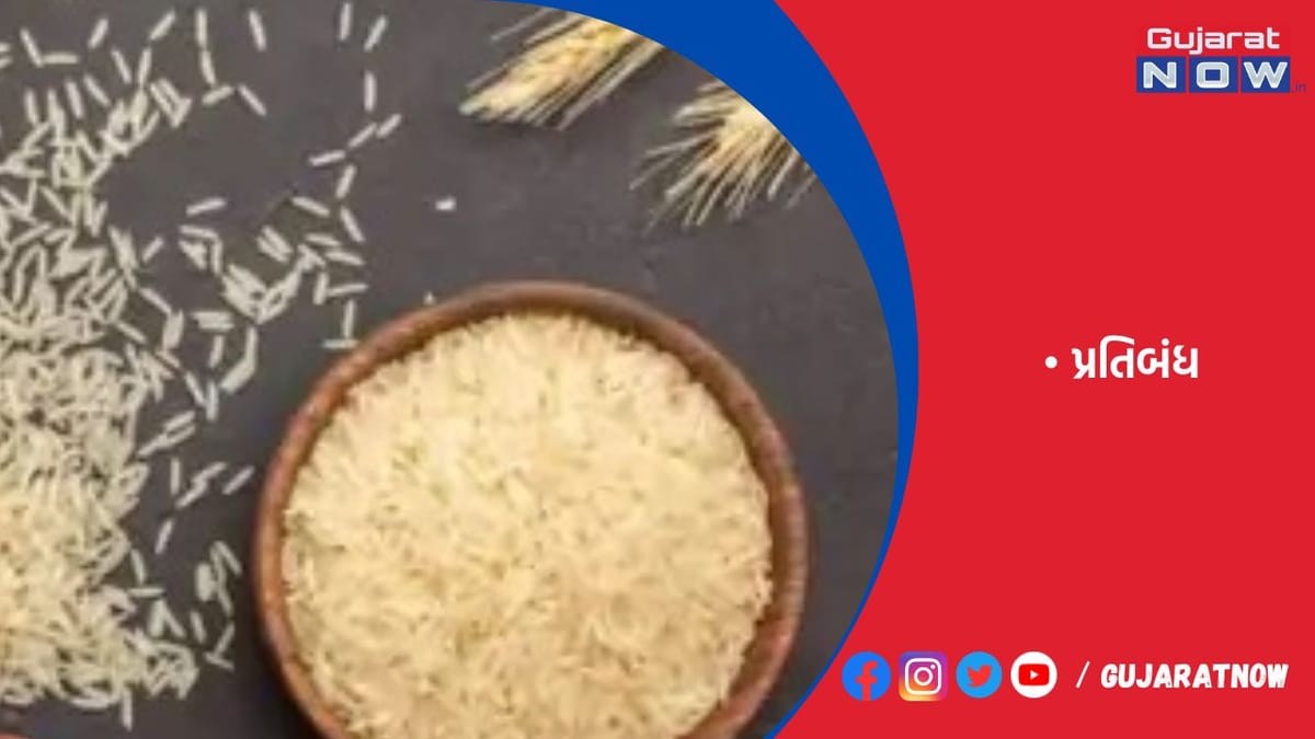 સરકારે તમામ બાસમતી ચોખાની નિકાસ પર પ્રતિબંધ મૂક્યો