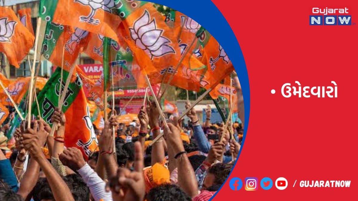 પ્રથમ યાદીમાં 30 ઉમેદવારો જાહેર કર્યા હતા