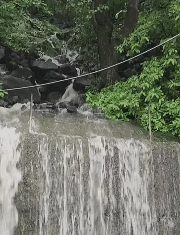 વિસનગરમાં જળબંબાકારની સ્થિતિ