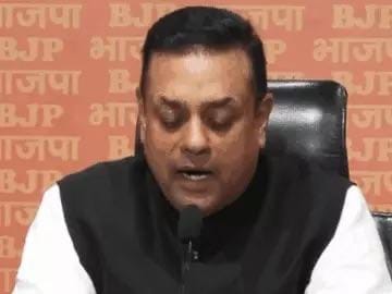 ભાજપે કહ્યું- દેશમાં ગૃહ યુદ્ધ કરાવવાનું રાહુલનું કાવતરું