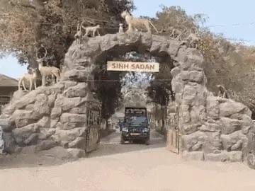 સિંહ સદનની નકલી વેબસાઈટ બનાવનાર રાશિદ રાજસ્થાનથી ઝડપાયો