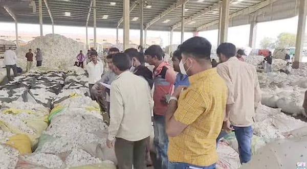 રાજકોટ યાર્ડમાં કપાસની આવક ઘટી