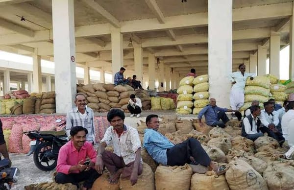 રાજકોટ યાર્ડમાં 11 લાખ કિલો શાકભાજી ની આવક