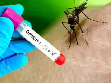 ચૂંટણી પૂર્વે રોગચાળો વકર્યો