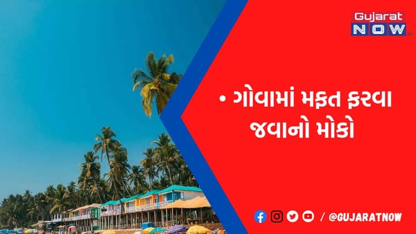 શું વાત છે! ગોવામાં મફત રહેવાની સુવિધા: બસ કરવું પડશે આ કામ, ફ્રેન્ડ્સ સાથે પ્લાન હોય તો સૌથી બેસ્ટ