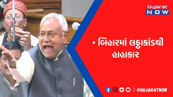દારૂ પીને મરે તો શું દયા? એક પૈસે વળતર નહીં મળે: વિધાનસભામાં ફરી શું બોલ્યા નીતિશ કુમાર?