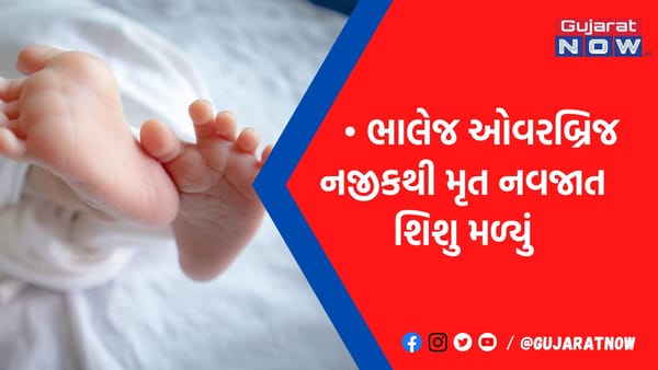 સોસાયટી માટે ડૂબી મરવા જેવું!, આણંદમાં ઓવરબ્રિજ નીચેથી નવજાતની લાશ મળતા ચકચાર