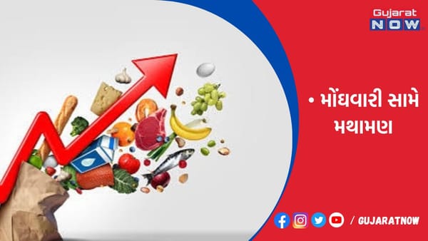ફુગાવા સામેની લડત વર્ષ 2023માં પણ યથાવત્ રહેશે