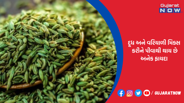 હેલ્થ સારી ના હોય તો એક ચપટી વરિયાળી લો, દૂધમાં મિક્સ કરીને પીવાથી થશે અઢળક ફાયદા