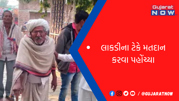 રાજકોટ જિલ્લામાં સદી વટાવી ચૂકેલા શતાયુ મતદારો અને લાકડીના ટેકે મતદાન કરવા પહોંચ્યા