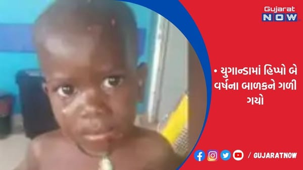 યુગાન્ડામાં હિપ્પો બે વર્ષના બાળકને ગળી ગયો