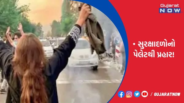 ઈરાનમાં મહિલાઓના ચહેરા અને નાજુક અંગો પર સુરક્ષાદળોનો પેલેટથી પ્રહાર
