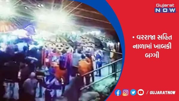 વરરાજા સહિત નાળામાં ખાબકી બગ્ગી