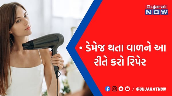દરરોજ ડ્રાયરના ઉપયોગના કારણે વાળ થઈ ગયા છે ડેમેજ? અપનાવો આ ઘરગથ્થુ ઉપાય, હેર બનશે સિલ્કી અને શાઈની