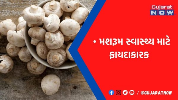 સ્વાસ્થ્ય માટે ખૂબ જ ફાયદાકારક છે મશરૂમ, સેવનથી નહીં થાય આ 5 મુશ્કેલીઓ