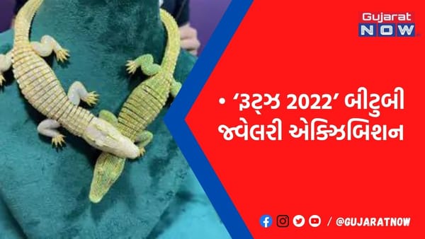15 હજાર હીરા અને 330 ગ્રામ સોનામાંથી બનાવેલ મગરમચ્છની ડિઝાઈનનો નેકલેસ