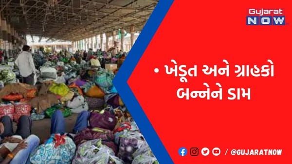 યાર્ડમાં ખેડૂતો પાસેથી માત્ર રૂ.1થી 10માં કિલો ખરીદાય છે છતાં ગ્રાહકોને મળે છે રૂ.10થી 30માં !