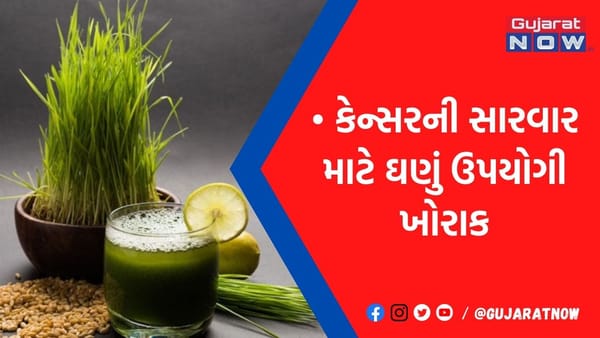 કેન્સરના ગંભીર રોગમાં આ ઘાસનું જ્યુસ બનશે જડીબુટ્ટી