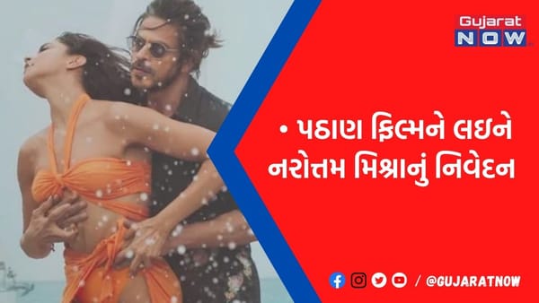 'તમારી દીકરી સાથે બેસીને પઠાણ જોઈ દેખાડો', હવે MPના સ્પીકર ઉતર્યાં વિરોધમાં, શાહરુખને ફેંક્યો પડકાર