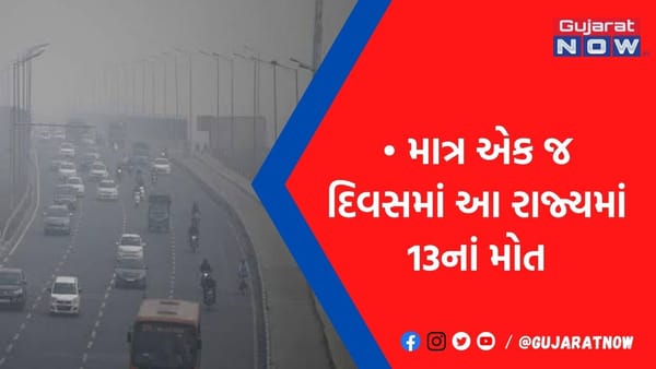 ઉત્તર ભારતમાં ધુમ્મસના કહેરથી માર્ગ અકસ્માતમાં વધારો,