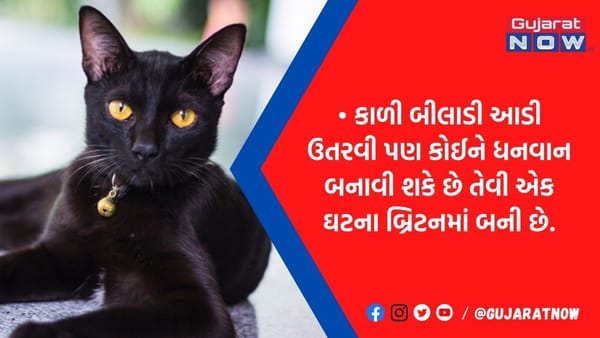 આ પ્રાણી રસ્તા પર તમારી આડું ઉતરે તો થઈ જશો કરોડપતિ, અચાનક પૈસાથી ઉભરાઈ જશે ઘર