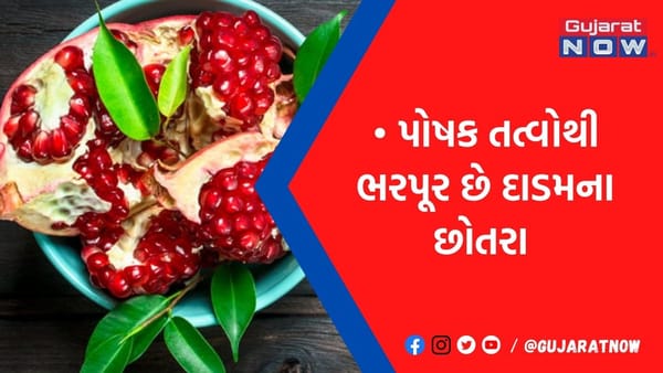 દાડમના છોતરાને ફેંકો નહીં બનાવો આ ડ્રિંક, સ્કિન પર તરત દેખાશે ફરક