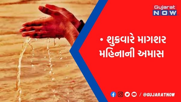 અમાસ ના આ દિવસે પિંડદાન કરવાથી પિતૃઓ વૈકુંઠ તરફ પ્રસ્થાન કરે છે
