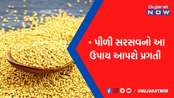 નવા વર્ષની શરૂઆતમાં કરો સરસવના આ ઉપાય, આખુ વર્ષ નહીં આવે કોઈ મુશ્કેલી