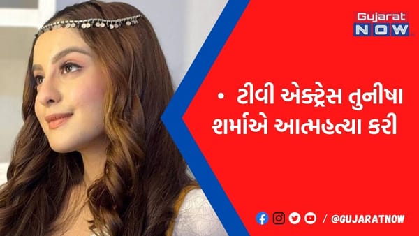 20 વર્ષની ટીવી એક્ટ્રેસે મેકઅપ રુમમાં ગળેફાંસો ખાઈને આપઘાત કરતાં ચકચાર